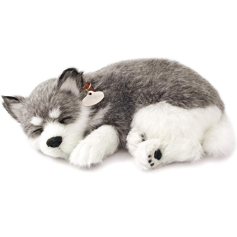  Perfect Petzzz Original Petzzz Alaskan Husky Realistic Lifelike Stuffed Interactive Pet Toy for Dogs
| Perfect Petzzz A